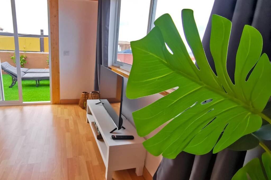 Loft Bella Vista Appartement Corralejo Buitenkant foto